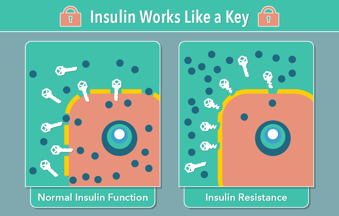 insulin-helps-control-your-diabetes-my-doctor-online